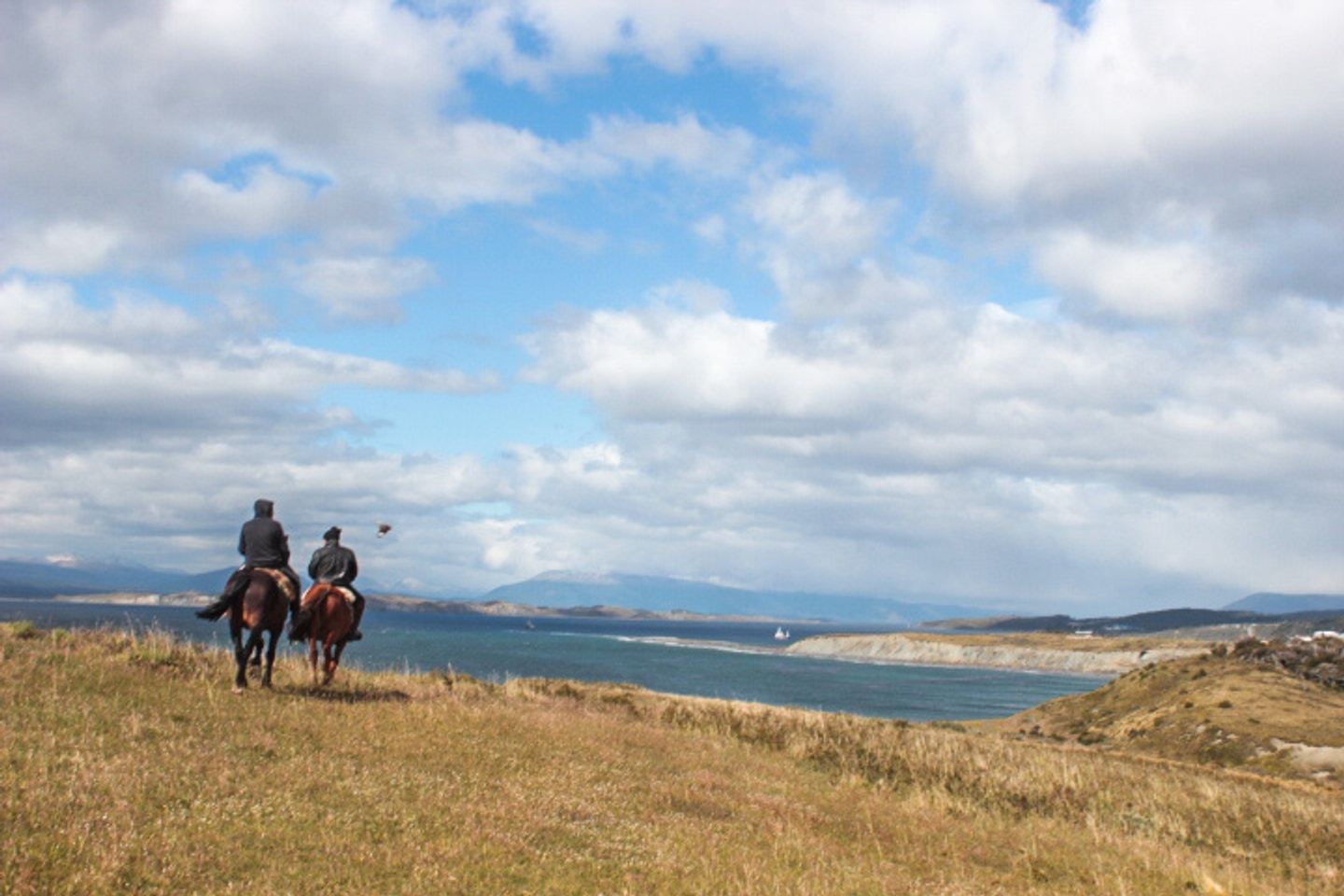 Cabalgata - Horseback riding Errante