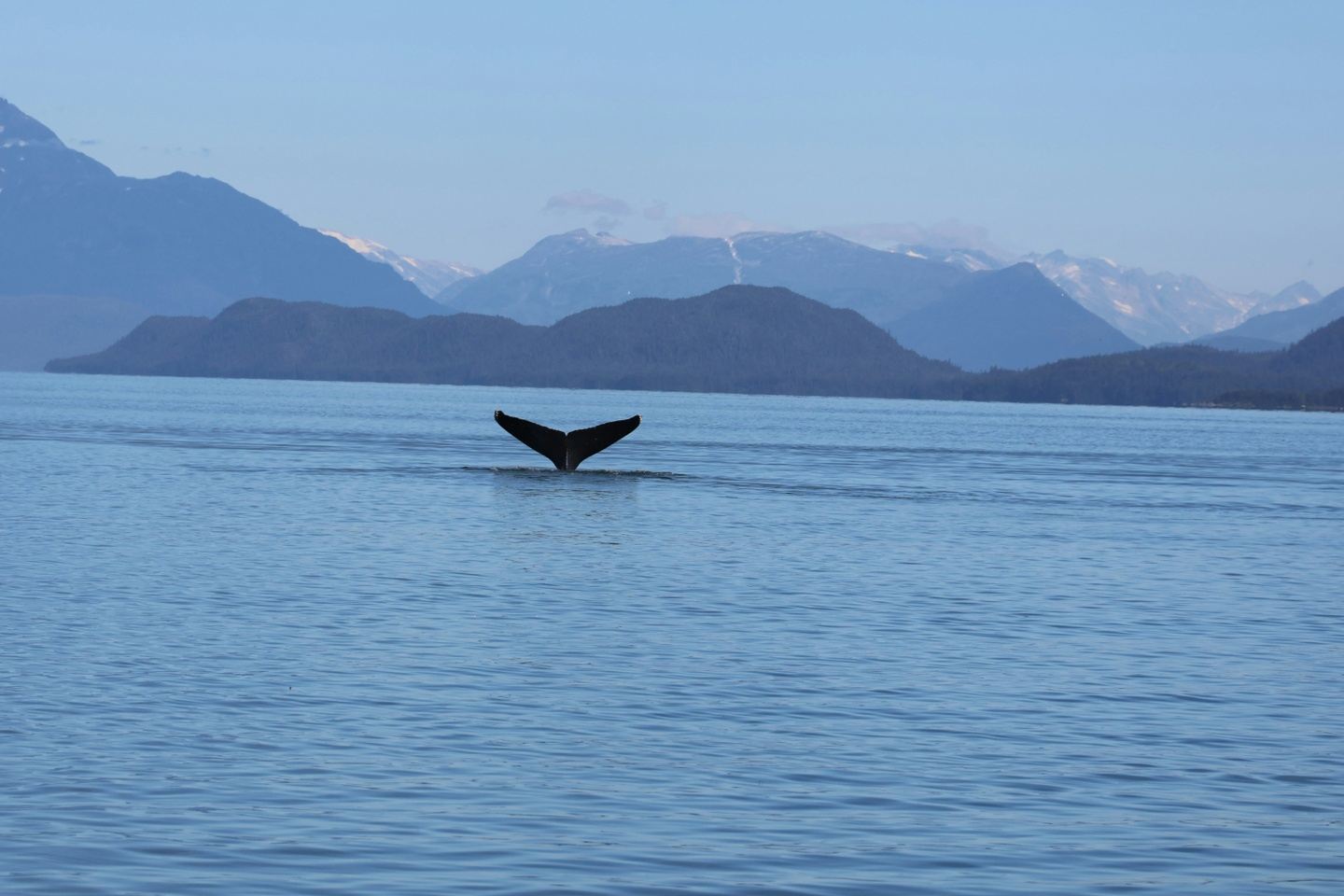 Northern Passages with Glacier Bay & Sitka