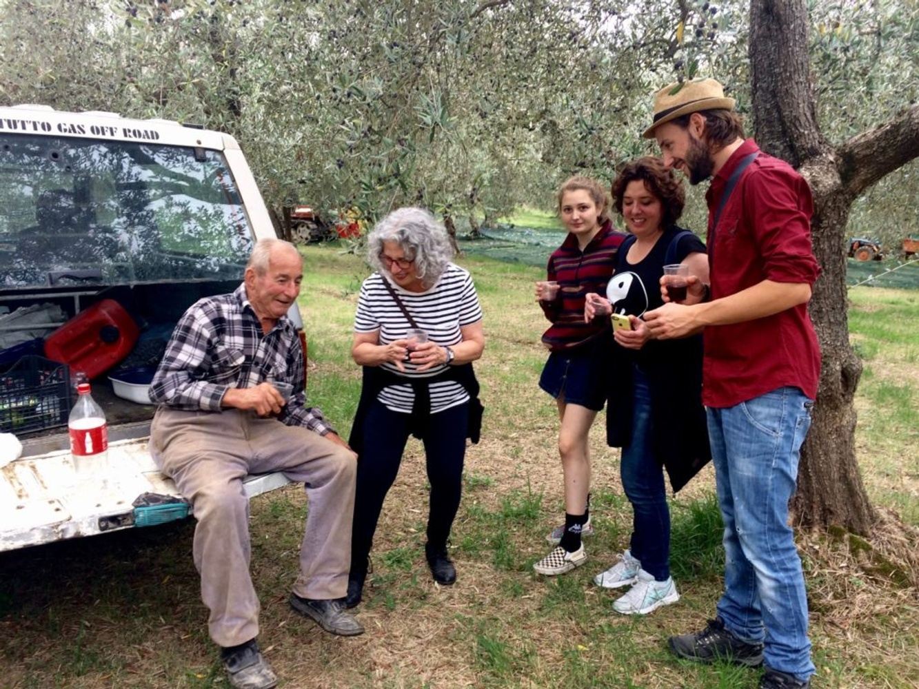 Olive Harvest Experience in Abruzzo - Olive picking in Italy