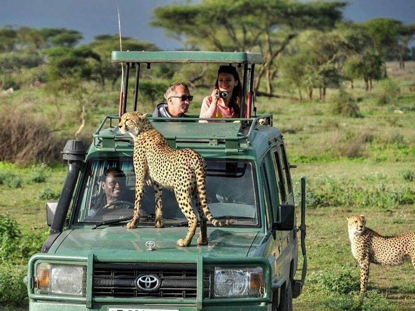13 Days Africa Private Guiding Tour Holiday Safari