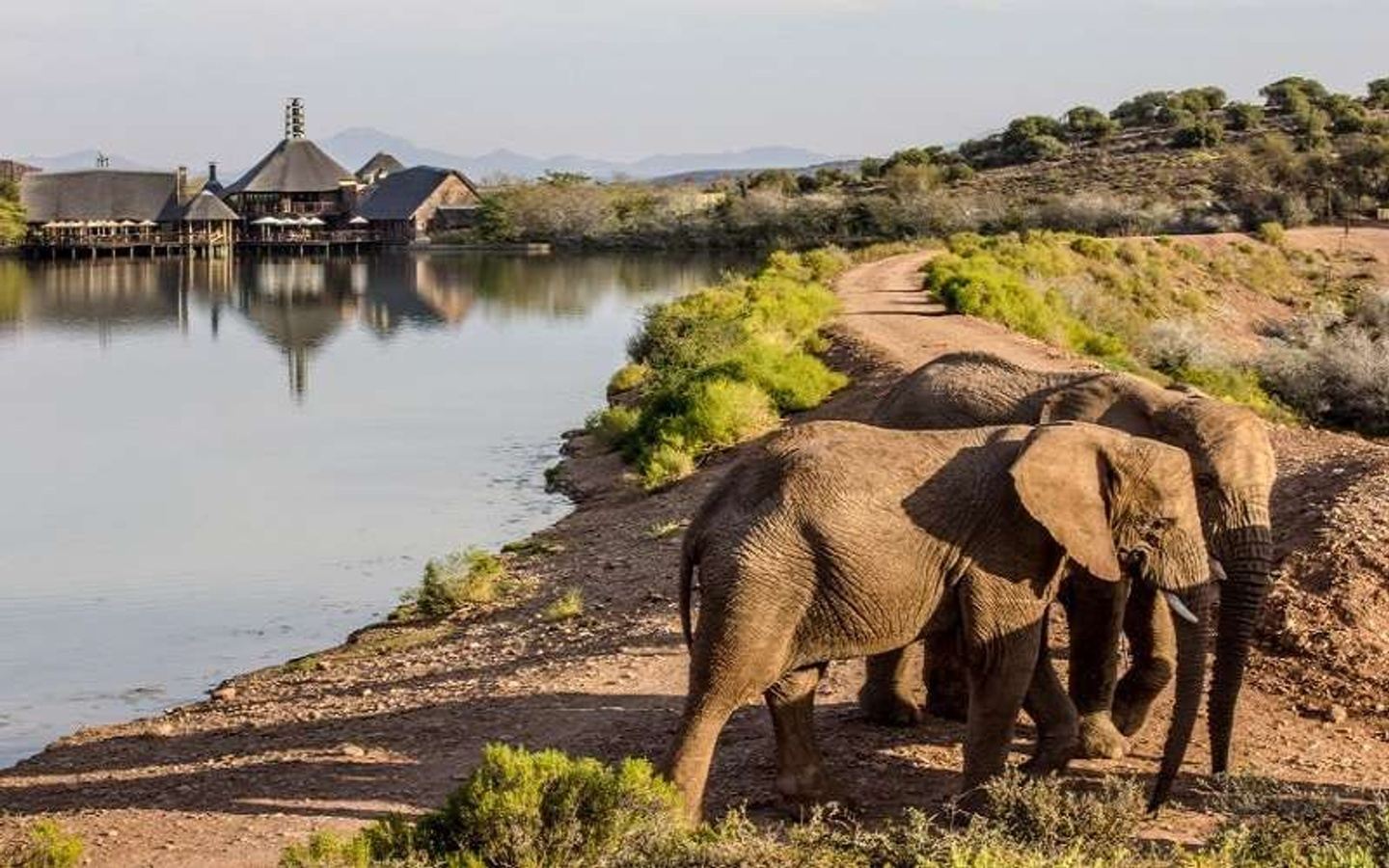 3 Day South African Bushveld Experience