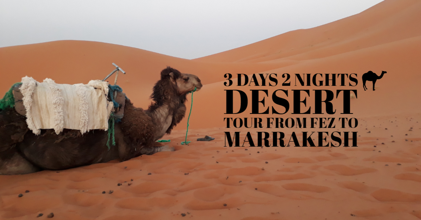 3 Days 2 Nights Desert Tour From Fez To Marrakech