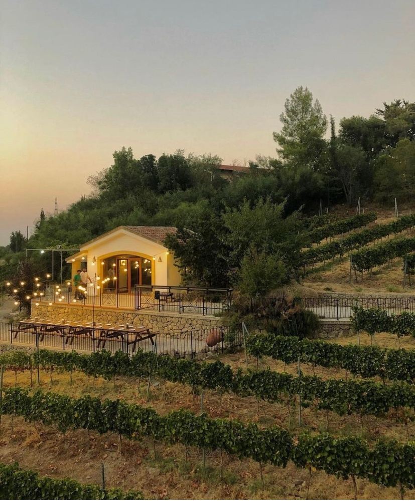 Yoga With Nina Sadot in Cyprus