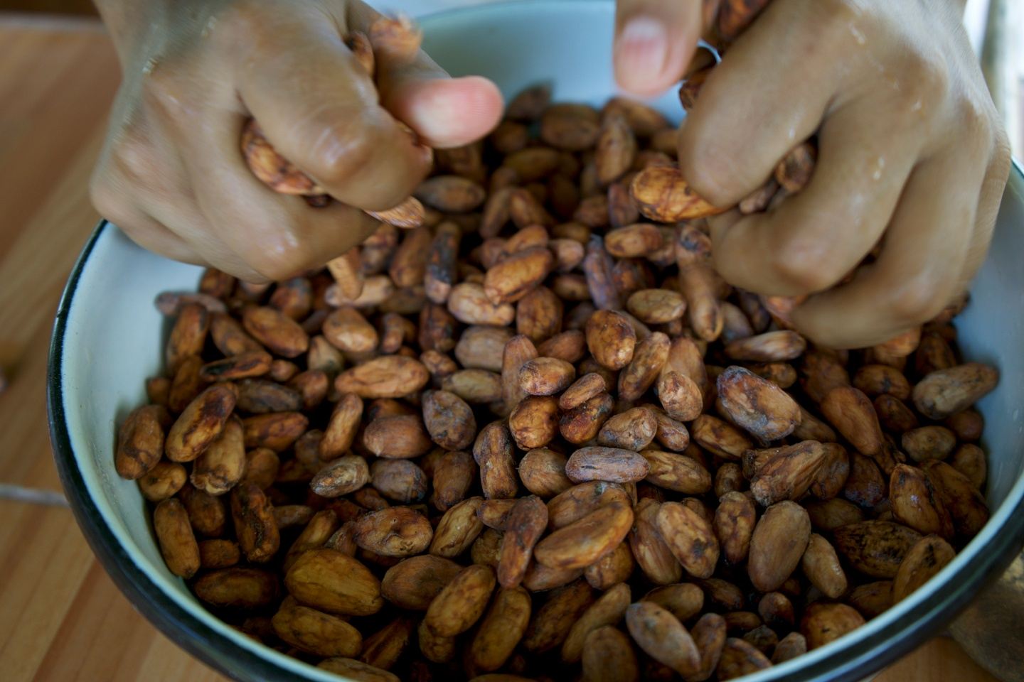 Cacao farm Visit and Chocolate Making Experience