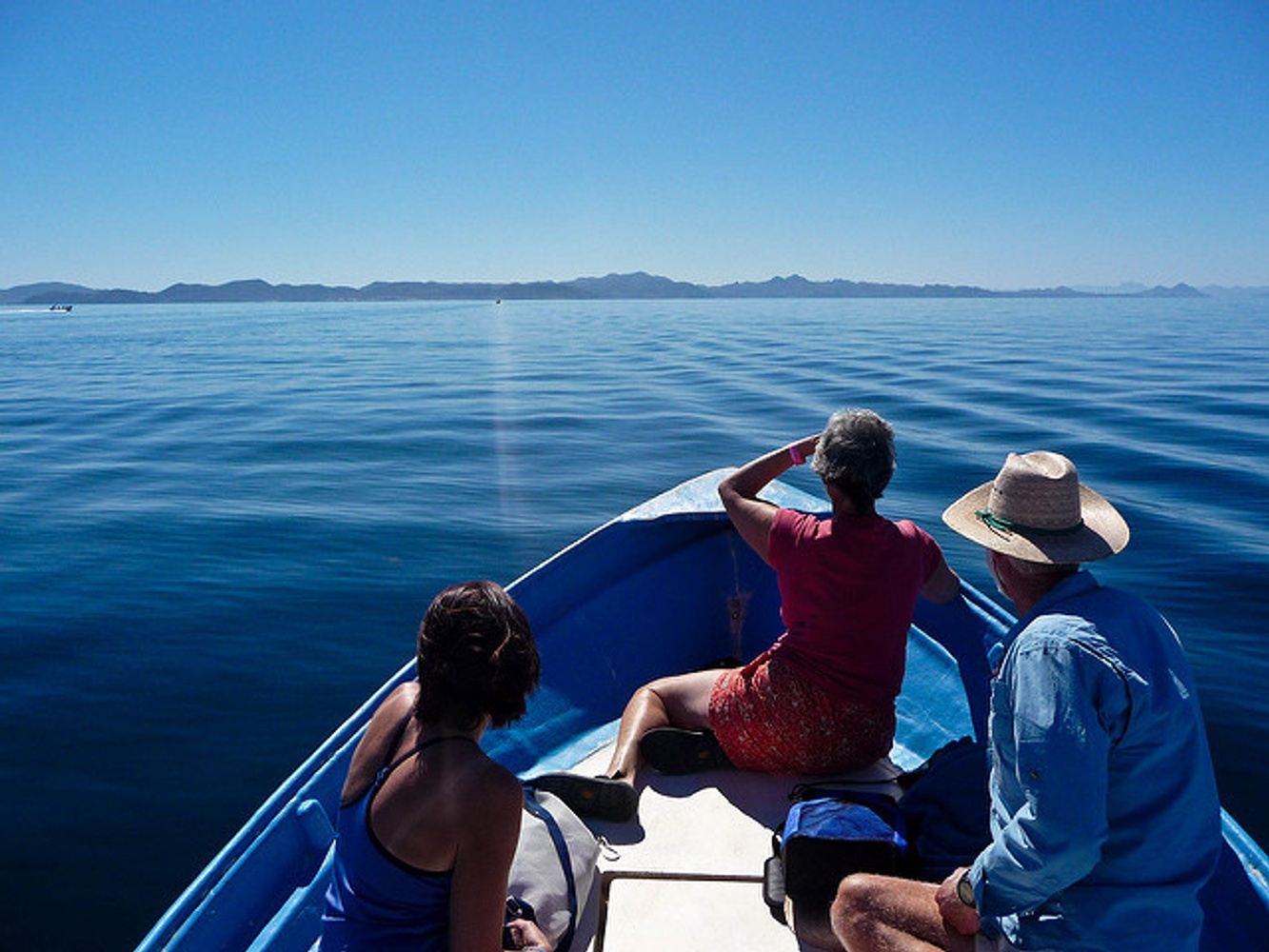 Baja Coast and Whale Watching Trip 1