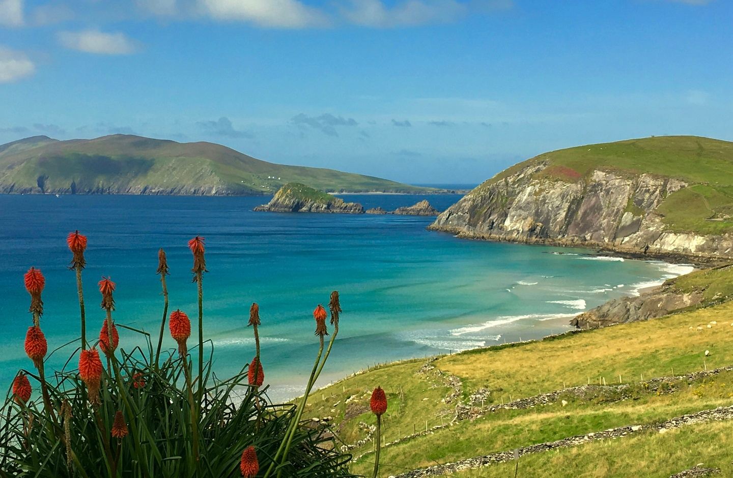 Culture, Health & Wellness in Southwestern Ireland