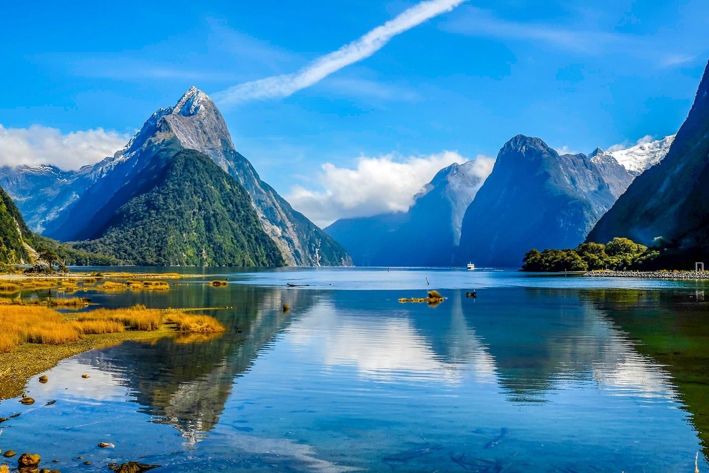 The Best of Both Islands: New Zealand