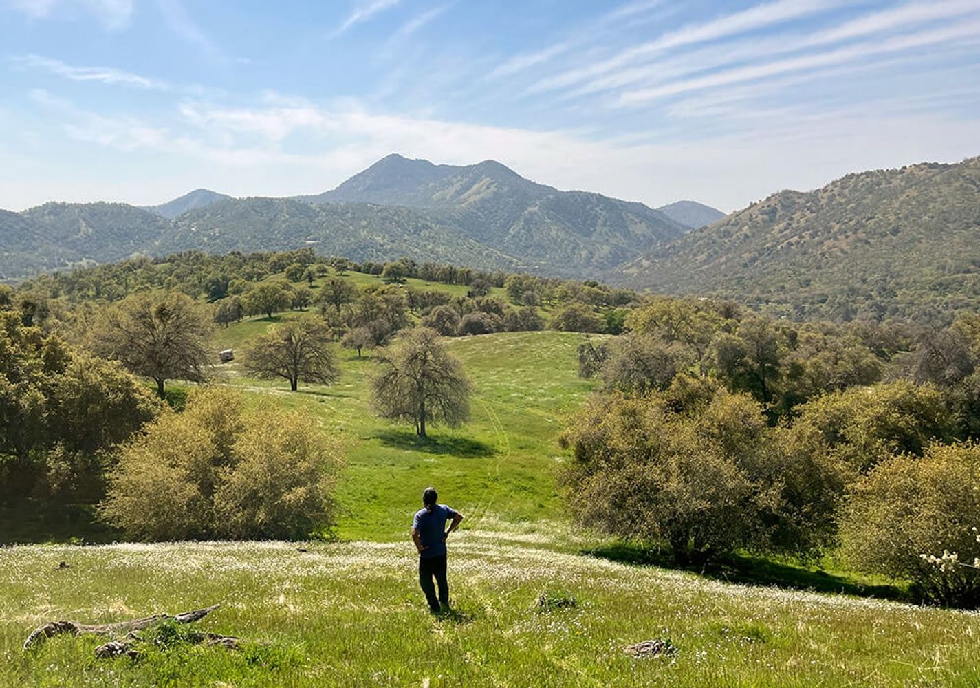 A Yoga Retreat w/Meg: breathworks, mindfulness, & meditation fall 2025