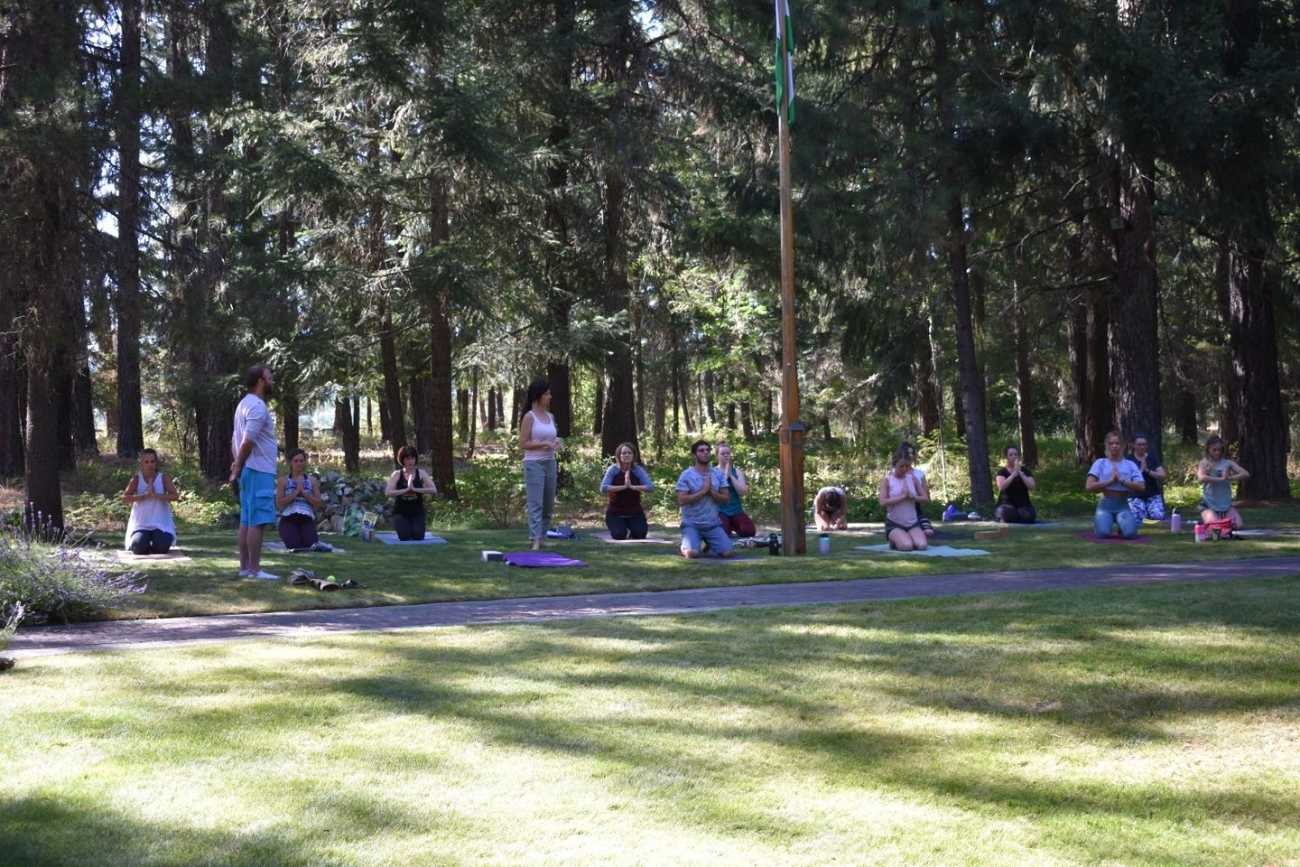 200 hour yoga teacher training in the mountains!