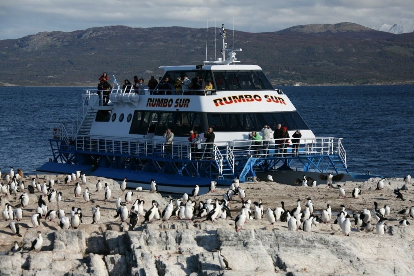 Navigation in the Beagle Channel to the Penguin Colony