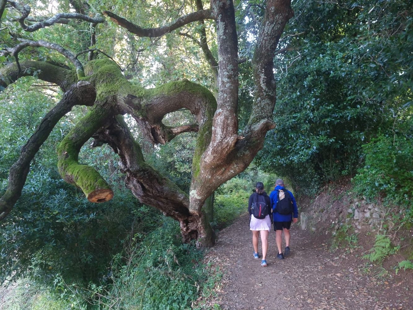 Camino Portugués in September