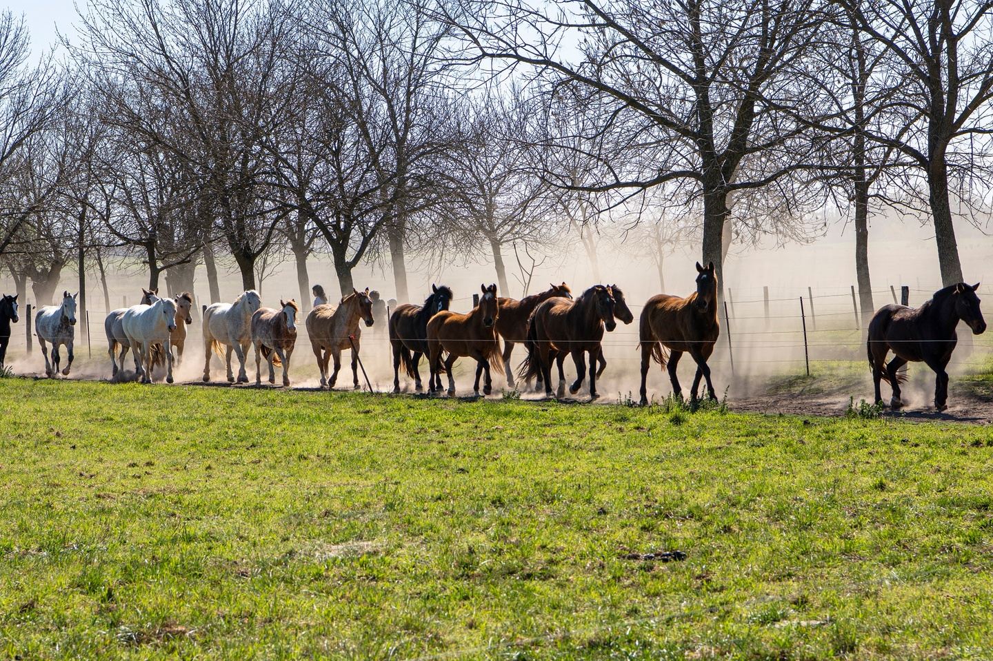 Guacho Ranch Experience