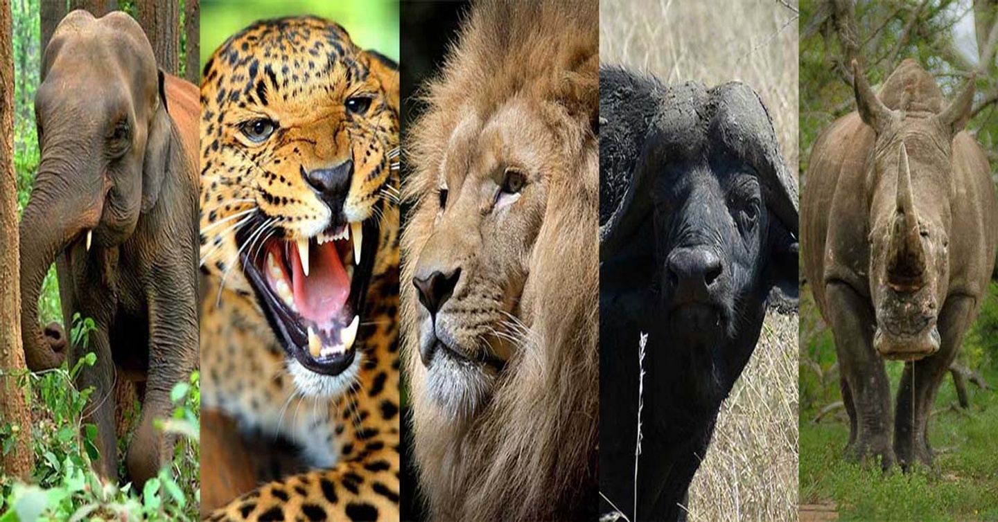 9 Days Best of Kenya & Tanzania Combined Safari Experience 2024/5