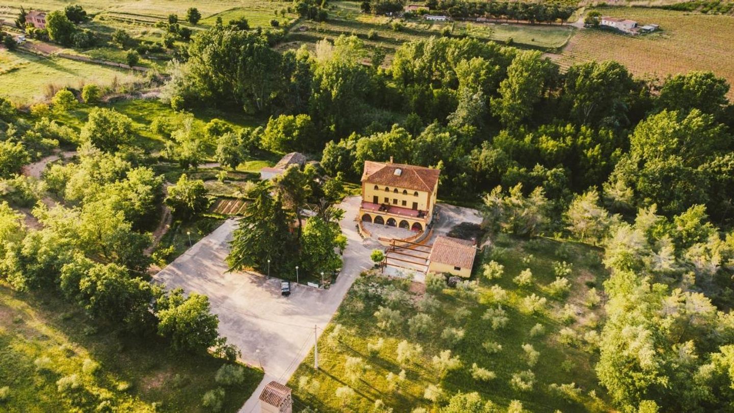 Calçotada - Cartoixa d'Escaladei