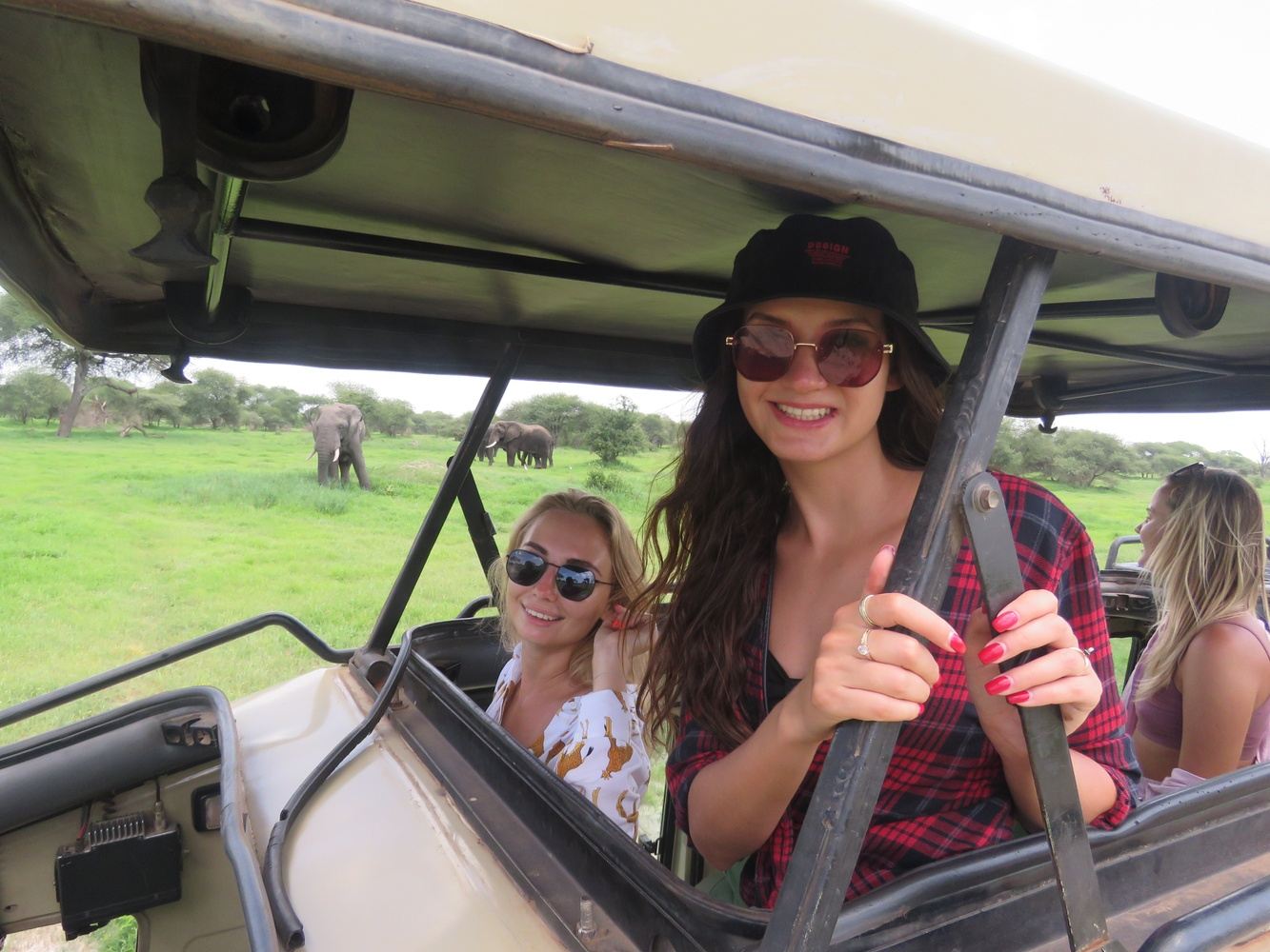 tanzania royal tours and safaris