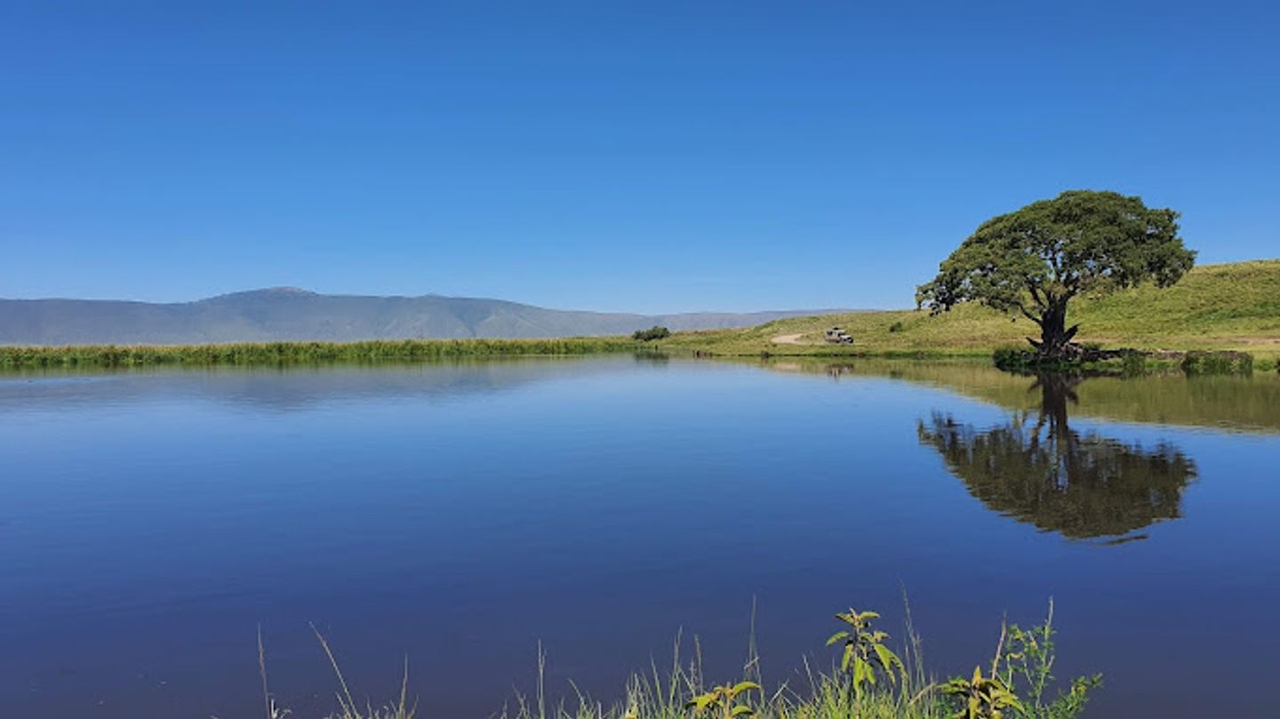 3days budget to arusha national park,lake manyara and ngorongoro