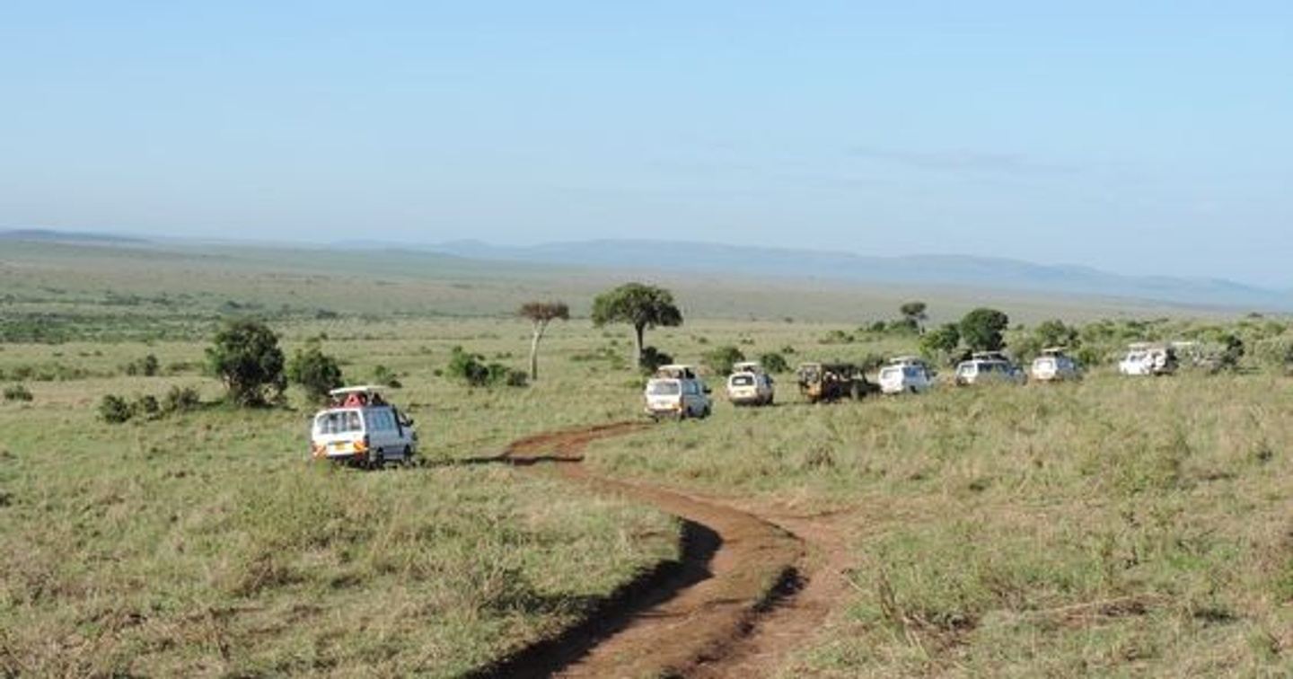 6 Days Masai Mara/Nakuru & Amboseli.
