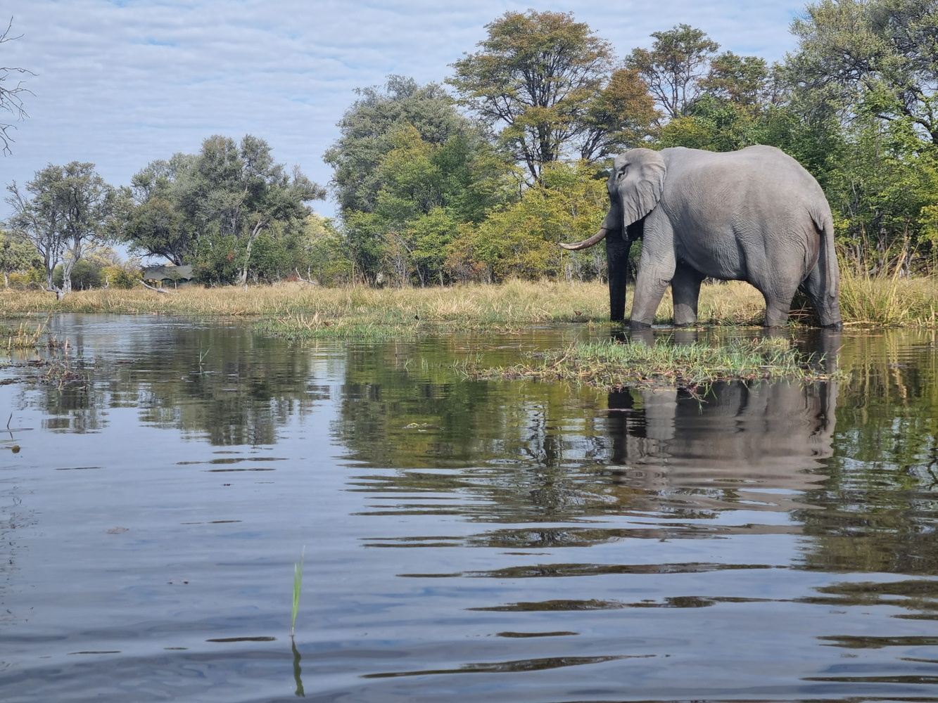 The Best of Africa ~ Mobile Safari through Botswana to Victoria Falls