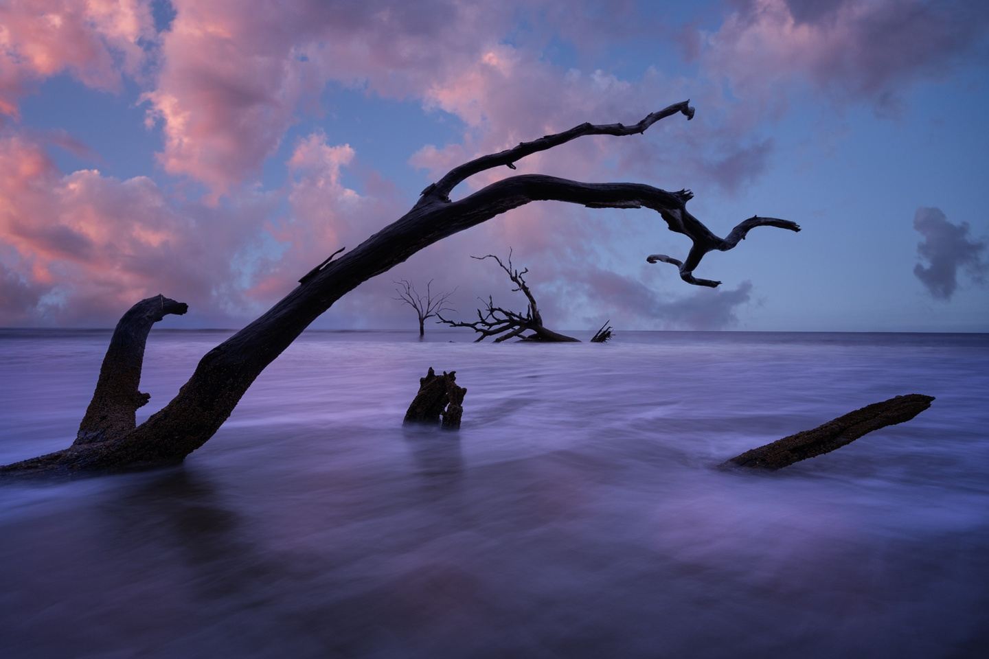 Low Country Photo Workshop (South Carolina/Georgia) w/ Joseph Rossbach