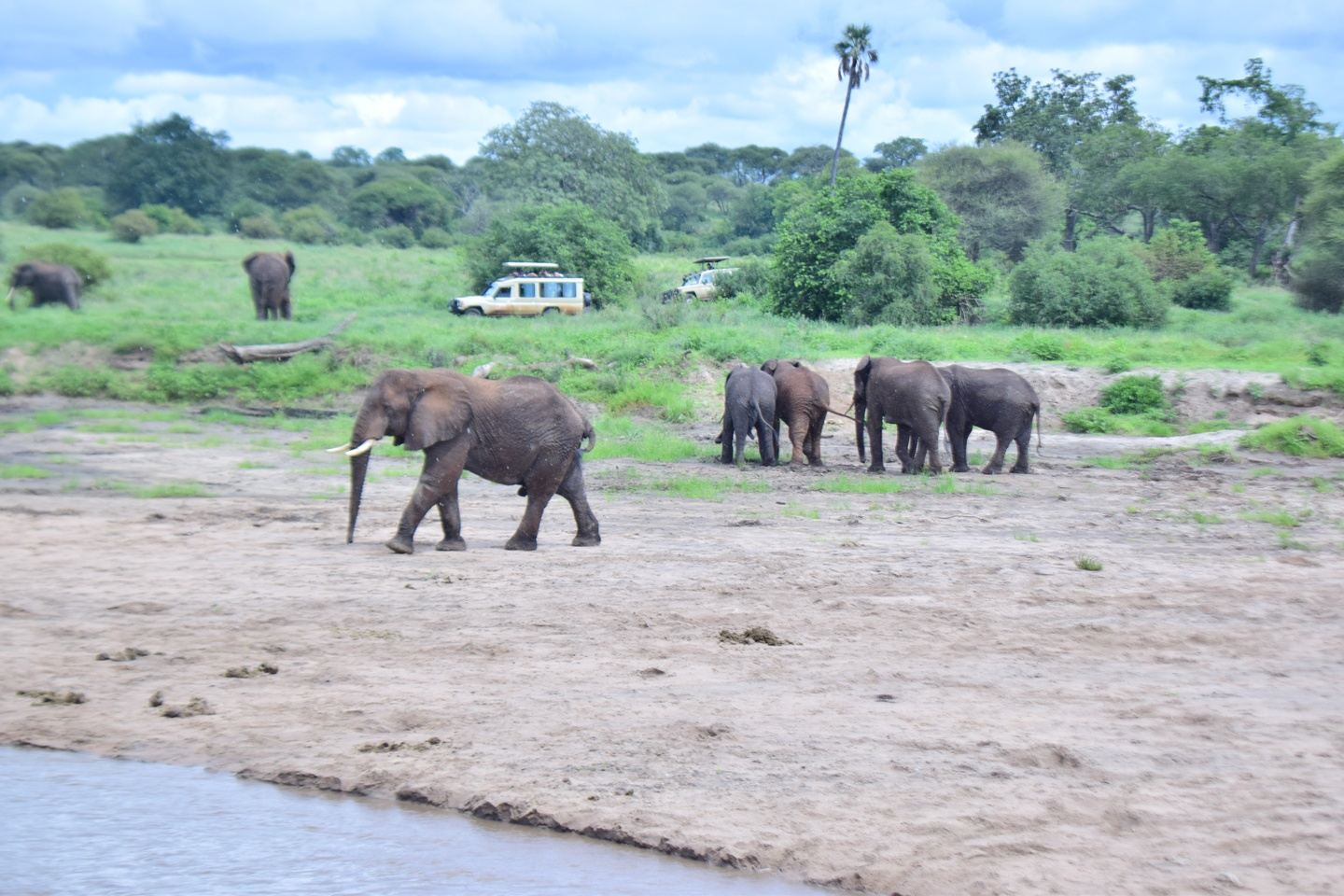 Top 5 Days Tanzania Serengeti Luxury Lodge Safari