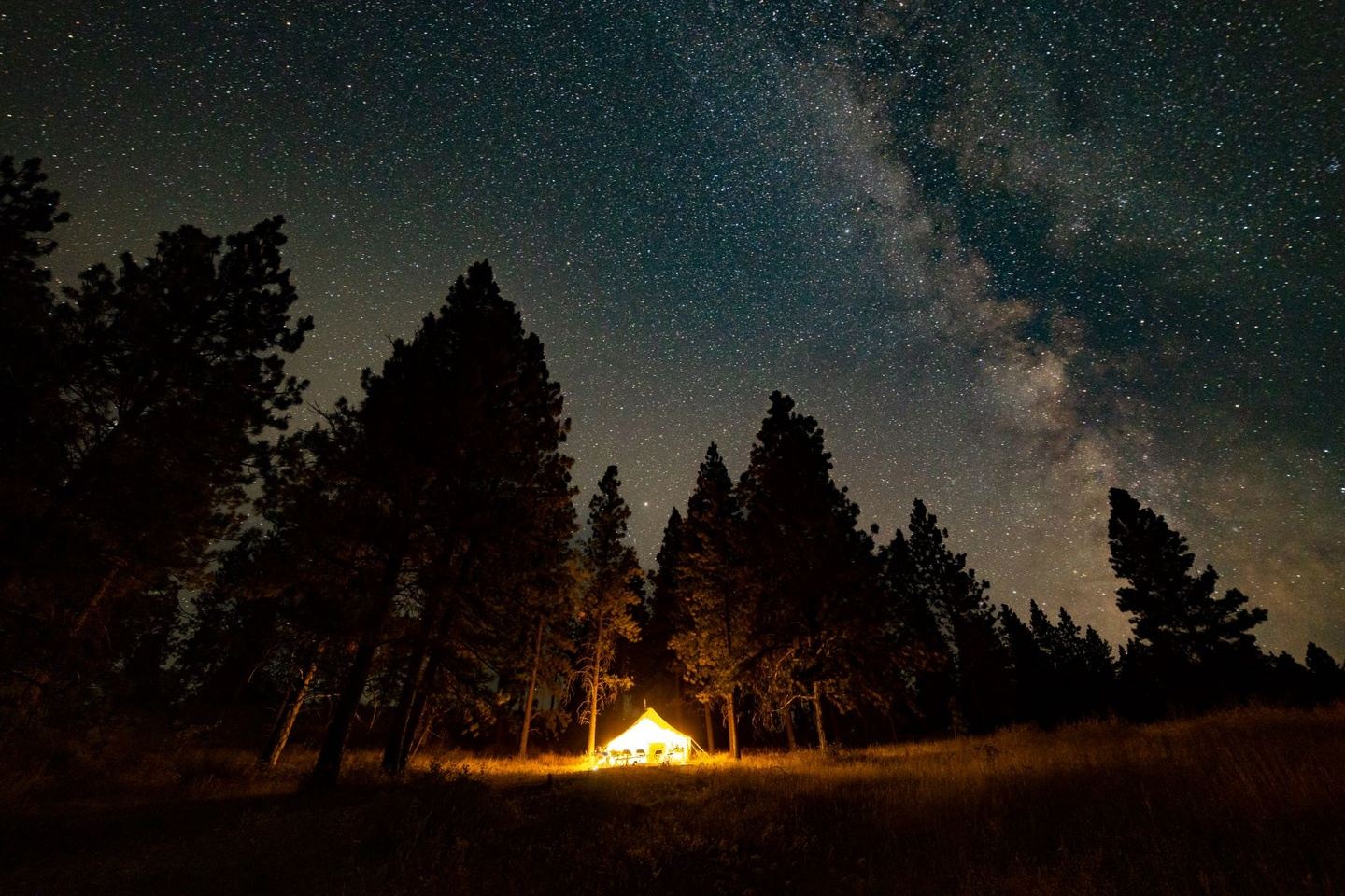 Listening to the Stars: Guided Night Hike & Private Concert