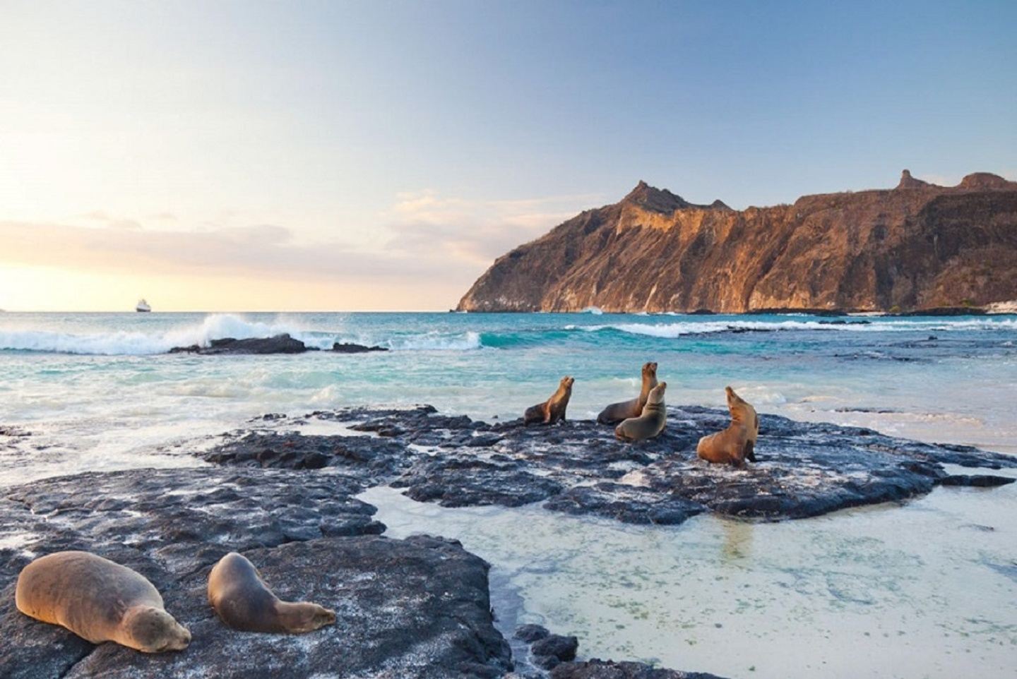 Galapagos island 7 Days with diving