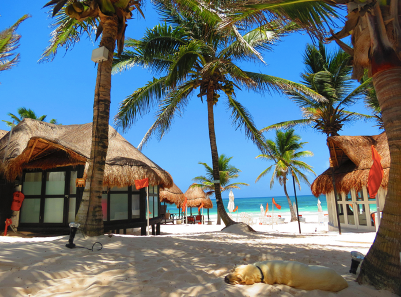 Tulum Yoga and Chill Retreat