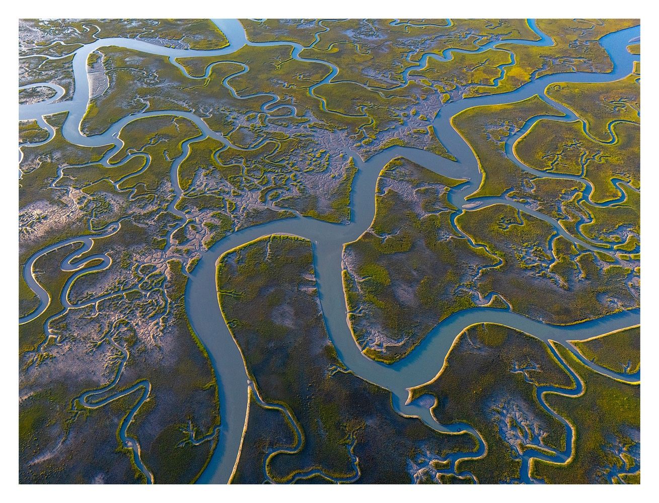 Tidal Marshes, Wildlife and Concrete Ships of the Lower Chesapeake Bay