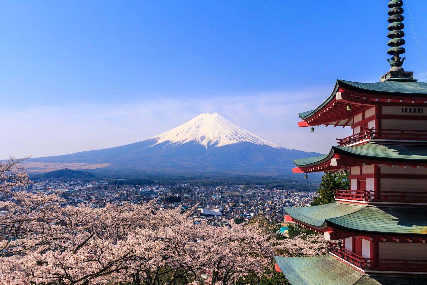 Land of the Rising Sun: A Cultural Immersion in Japan in Japan Shasha ...