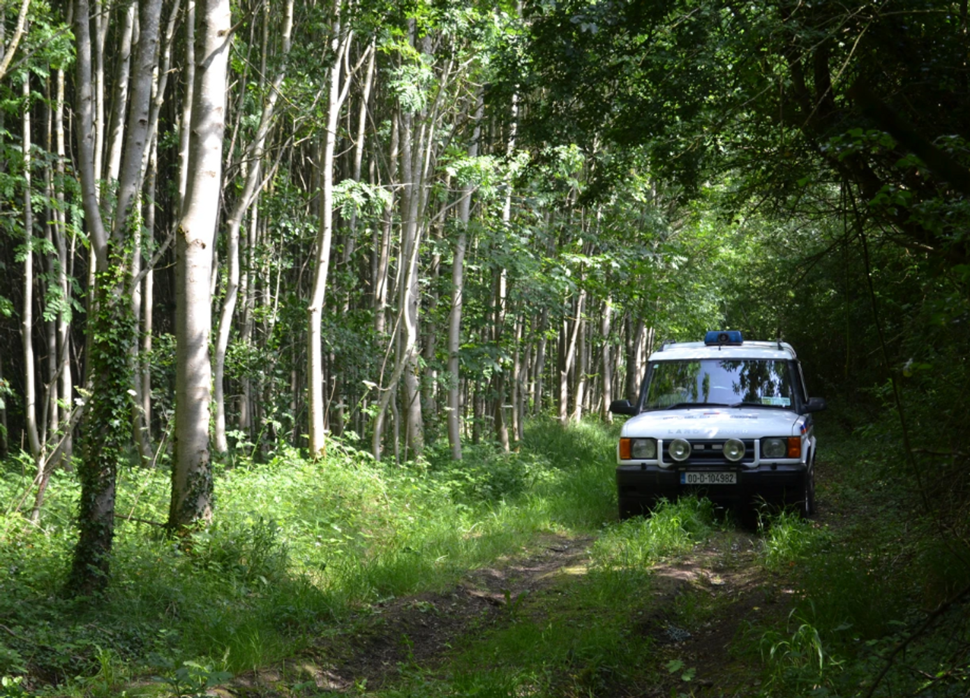 Wicked Wicklow Adventure!