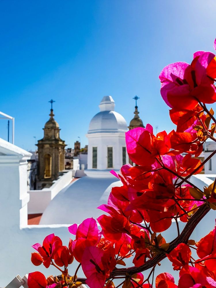 Discover Andalusia, A gem in Southern Spain!