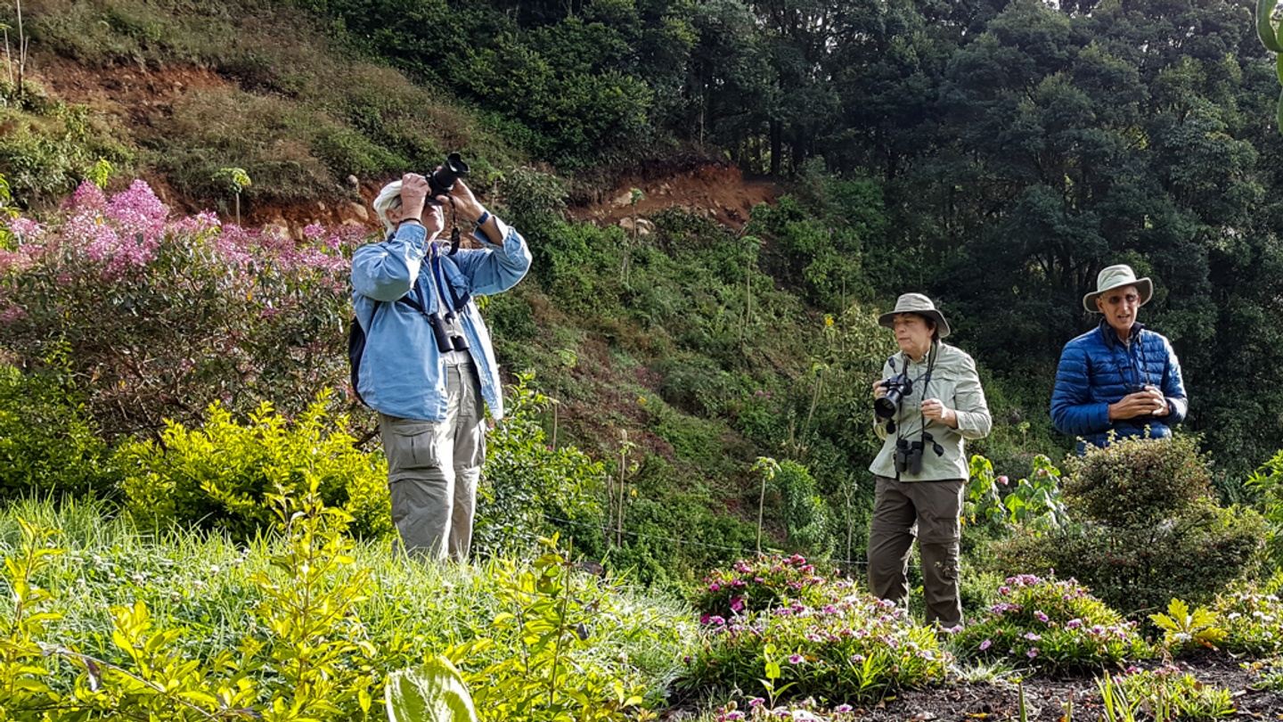 Ticket - Birding & Enthusiastic Photographer - 6 am to noon