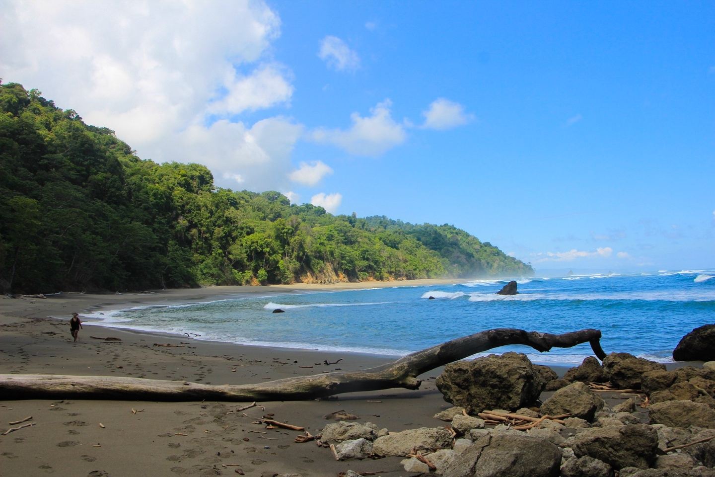 Sirena station - Caño Island