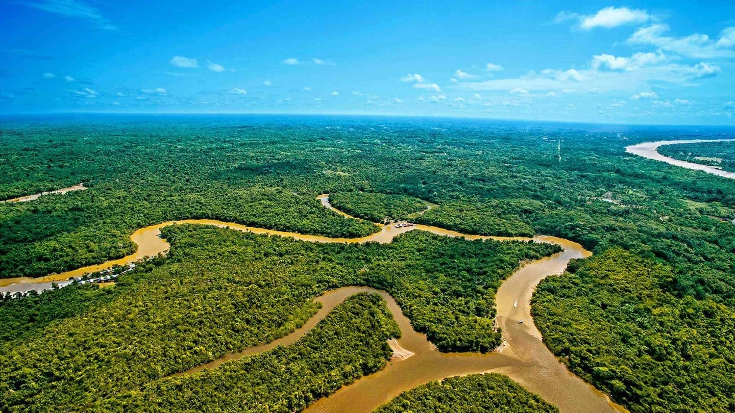 PARTNERS - THE AMAZON EXPERIENCIE ♿🌴🦋🐊🐒