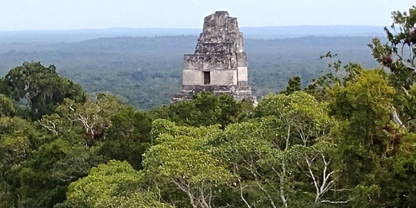 Tikal one day group tour from flores or mundo maya airport in tikal