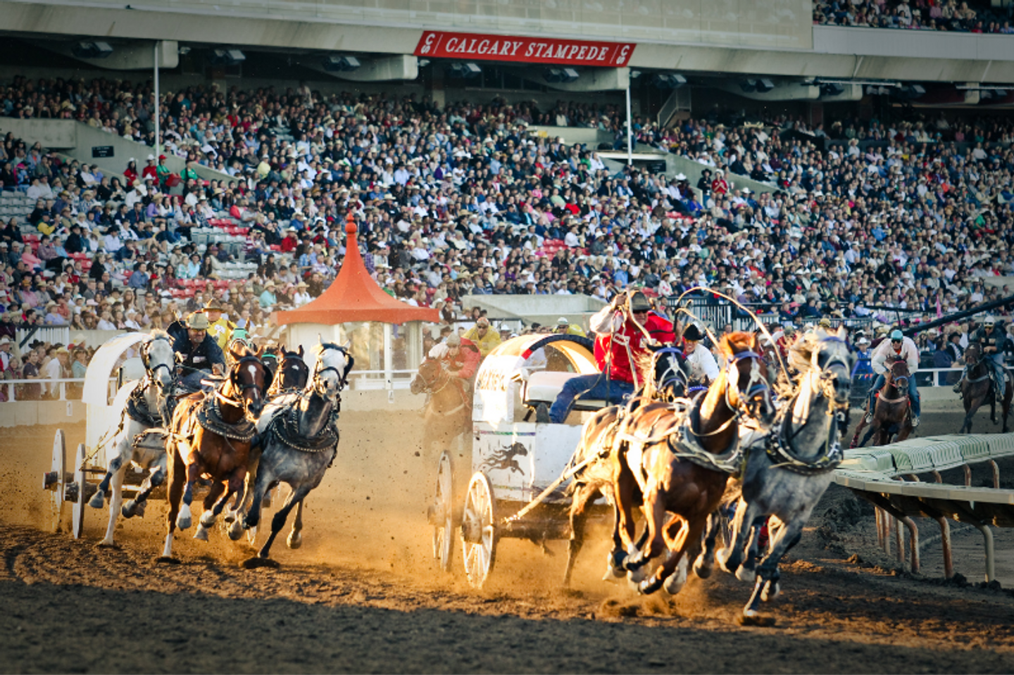 Calgary Stampede Adventure: Canada's Wild West Spectacle