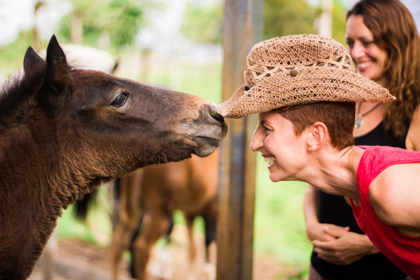 Horse and Soul with Danielle Mackinnon - SOLD OUT