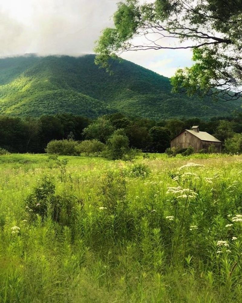 Inner Wisdom Retreat: An Ayurvedic Living Retreat in Vermont