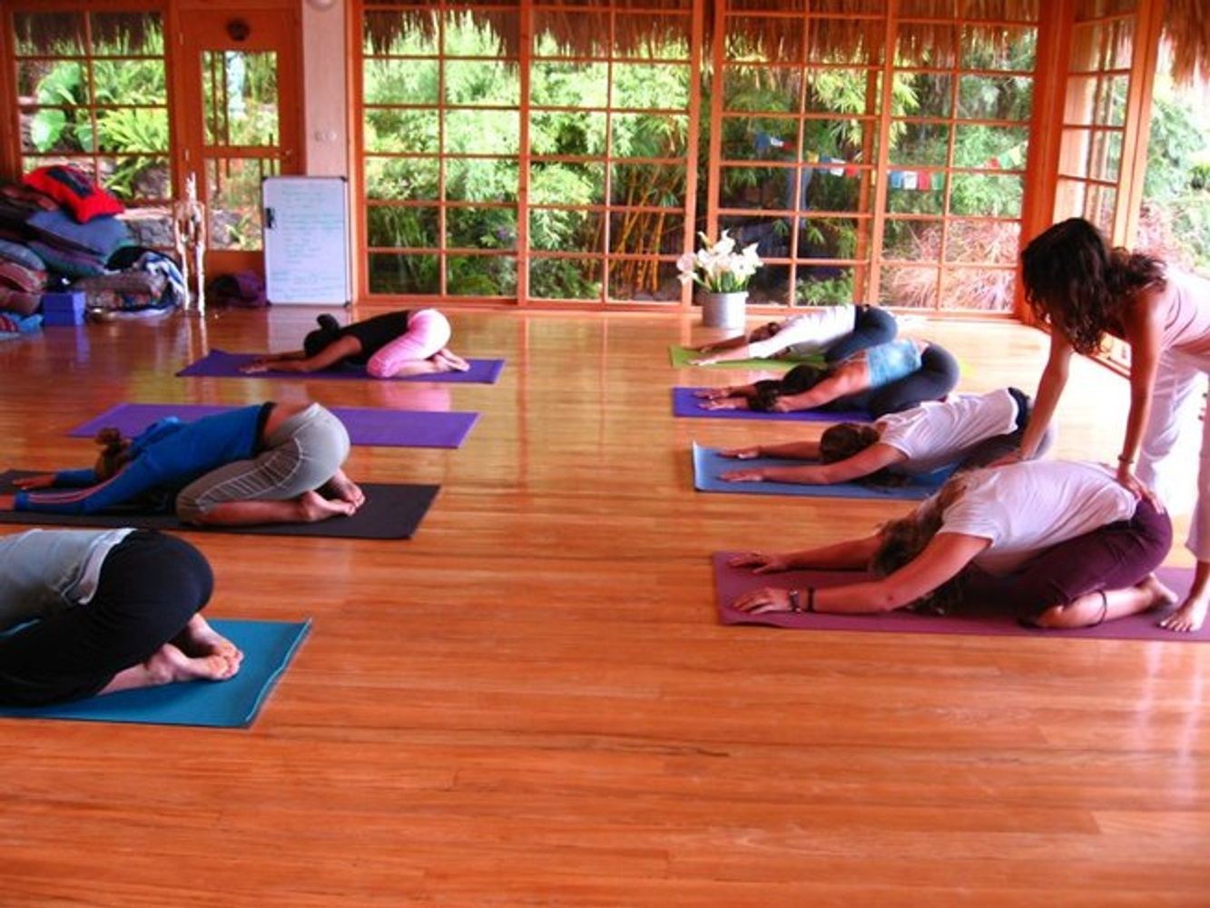 29-Day 200-Hour Holistic Yoga Teacher Training Program
