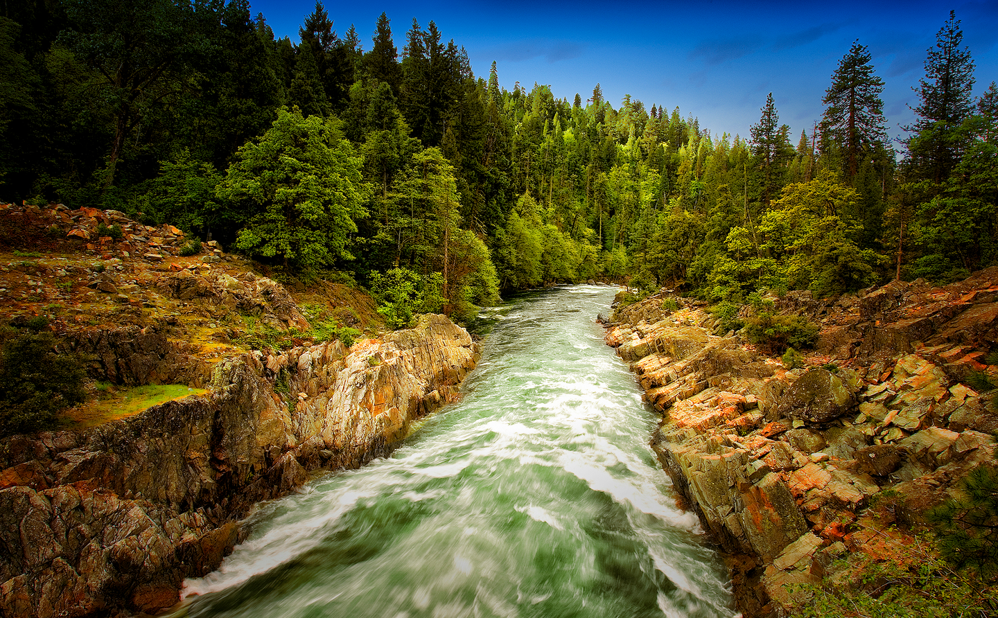Get Free! Yoga on the Yuba