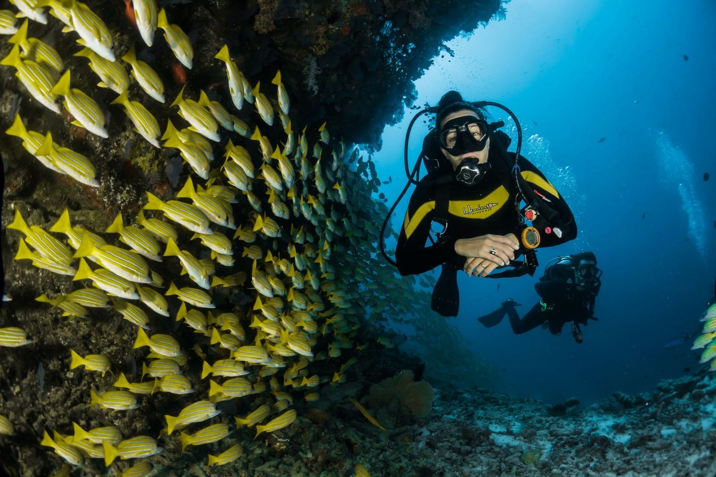 PADI/SDI Open Water certification