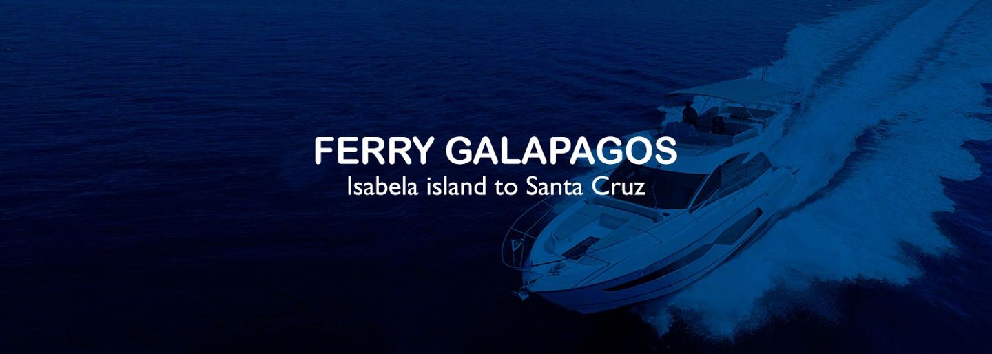 ao - Ferry Isabela to → Santa Cruz Island / 15:00 pm