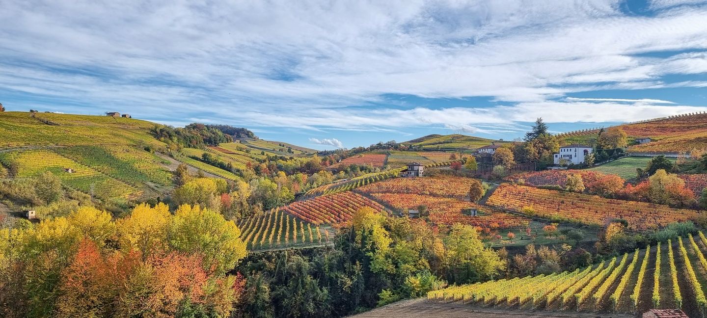 Wisdom Table Presents - Majesty of Northern Italy  2025