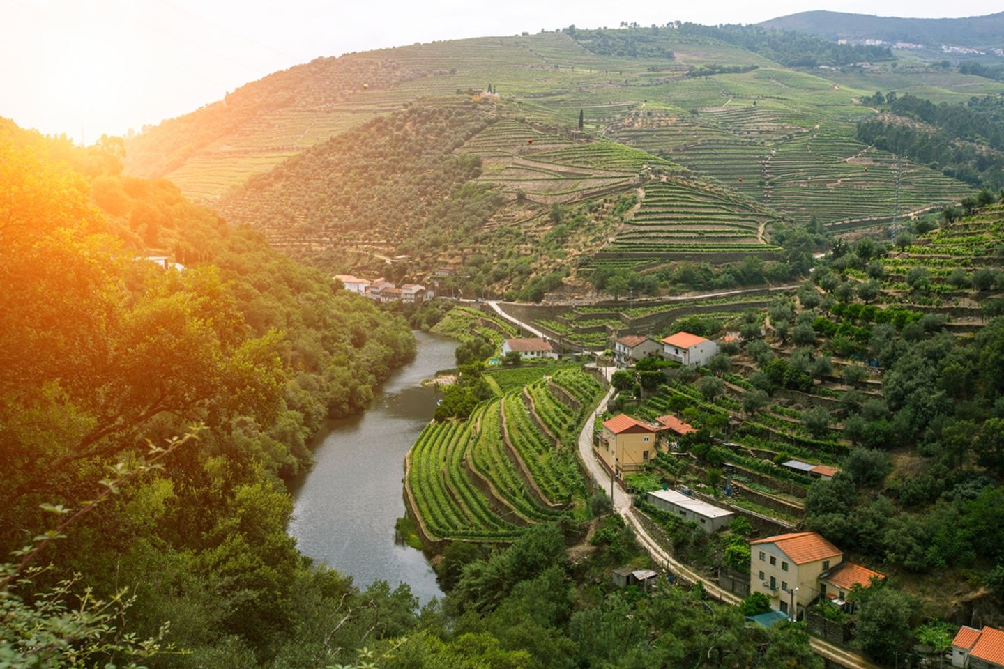 Portugal: The Douro & Serra da Estrela