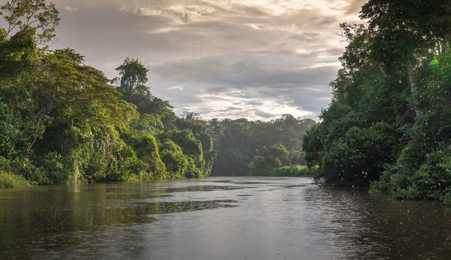 Immersive Journey into the Heart of the Amazon 2024