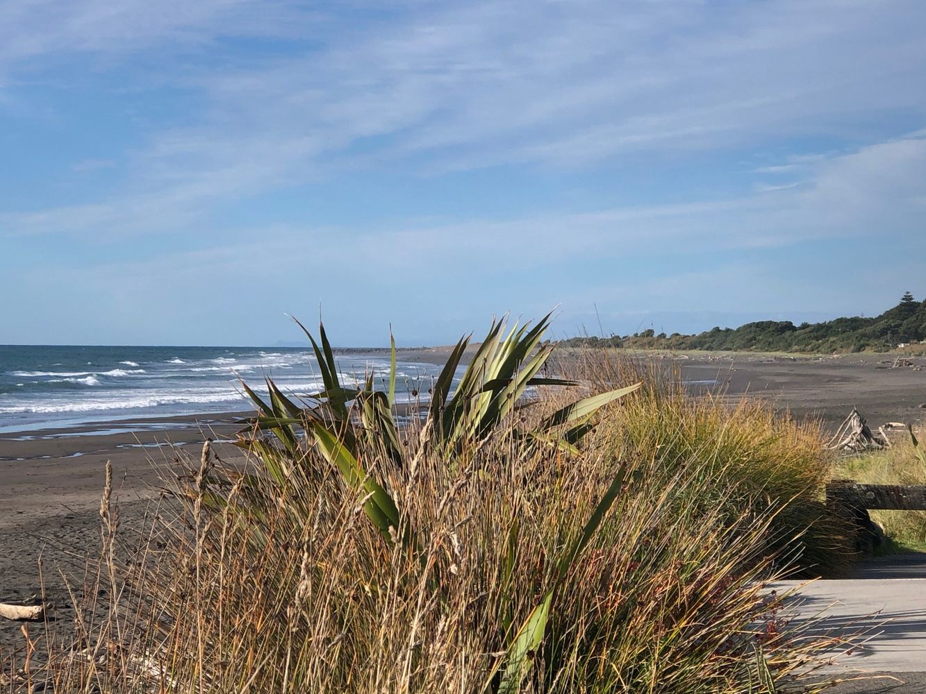 Bicycle Therapy Yoga Retreat