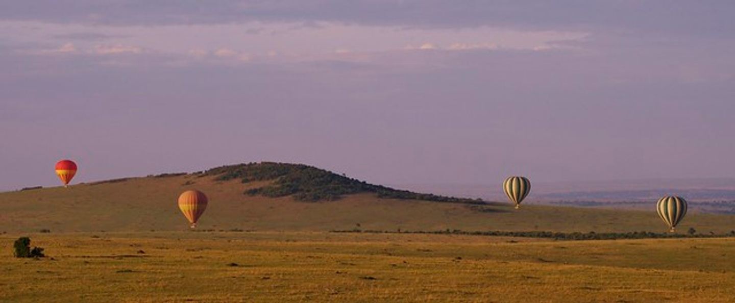 3 DAYS MASAI MARA SAFARI