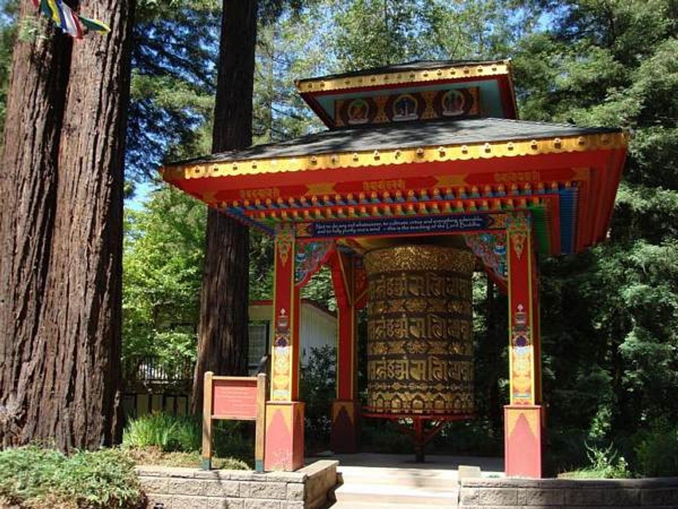 Redwoods Meditation Retreat 2023