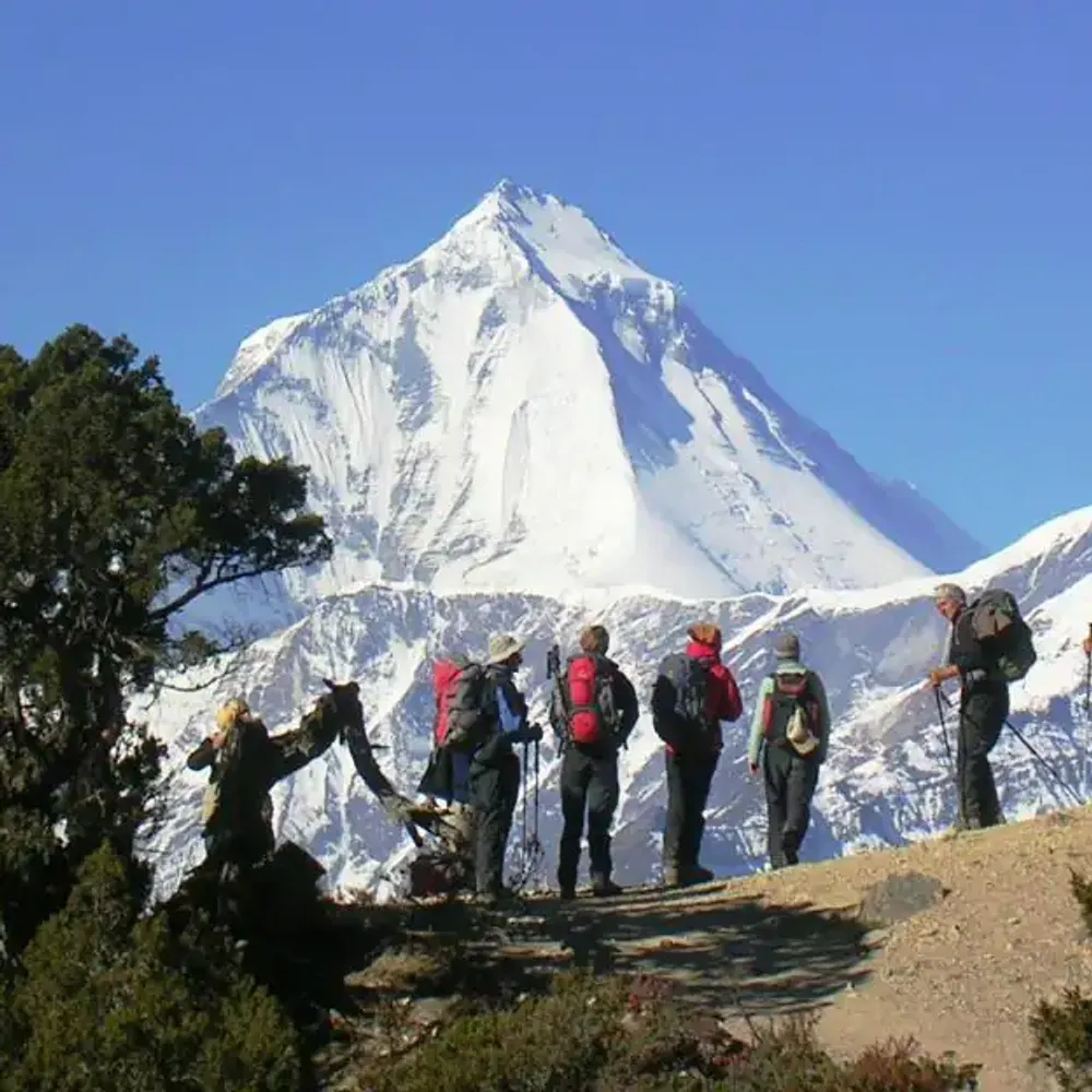 Gokyo Cho La Pass Trek - USD