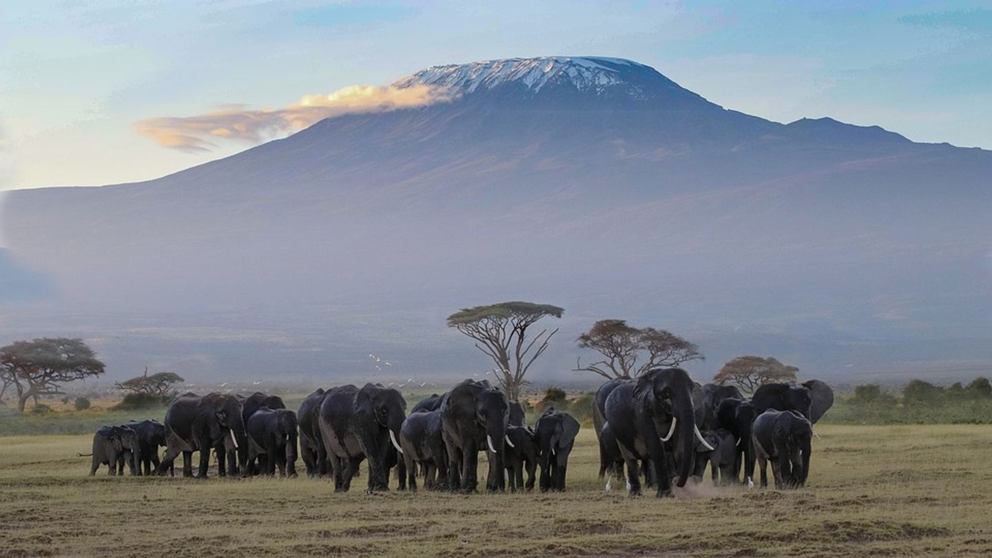 Amboseli 3 days / 2 nights safari from Nairobi